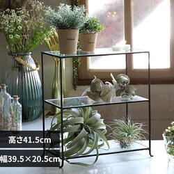 �W���Z�t�A�C�A�� �R�i�K���X�f�B�X�v���C�� ���C�h �u���b�N DTFF9050SW