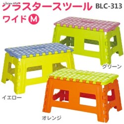 NX^[Xc[Ch MTCY BLC-313 IW