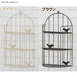 �o�[�h���b�N AKB-404 �A�C�{���[ �y�����z