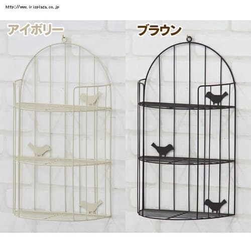 �o�[�h���b�N AKB-404 �A�C�{���[_0