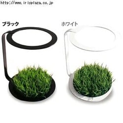 DI CLASSEifB NbZj g-umbrella stand Pā@ubN