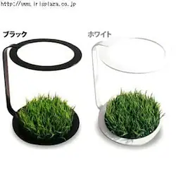 DI CLASSE�i�f�B �N���b�Z�j g-umbrella stand �P���ā@�u���b�N