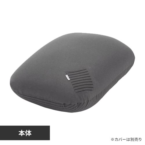 ＜アイリスプラザ＞ リバーシブルビーズクッション本体 RBC-EUR-S グレー画像