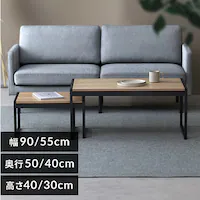 X`[t[ [e[u Z^[e[u SFCT-900N i`