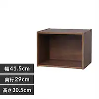 �J���[�{�b�N�X 1�i CX-1 �u���E��