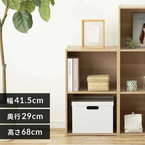 A4サイズ対応】カラーボックス 2段 CX-2F ナチュラル K227880