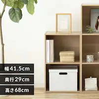 yA4TCYΉzJ[{bNX 2i CX-2F i`