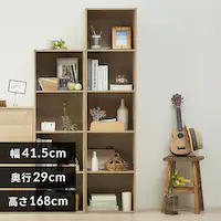 yA4TCYΉzJ[{bNX 5i  CX-5F i`