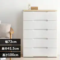 `FXg 5i gݗĊȒP [{bNX ^X Ebhgbv`FXg HG-725R zCg