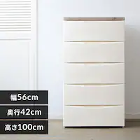 �`�F�X�g 5�i ���[�{�b�N�X �^���X �f�U�C���E�b�h�g�b�v�`�F�X�g DW-555 �A�C�{���[