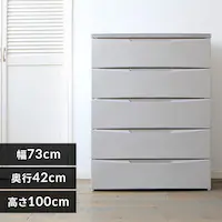 �`�F�X�g 5�i ���[�{�b�N�X �^���X �f�U�C���E�b�h�g�b�v�`�F�X�g DW-725 �O���[