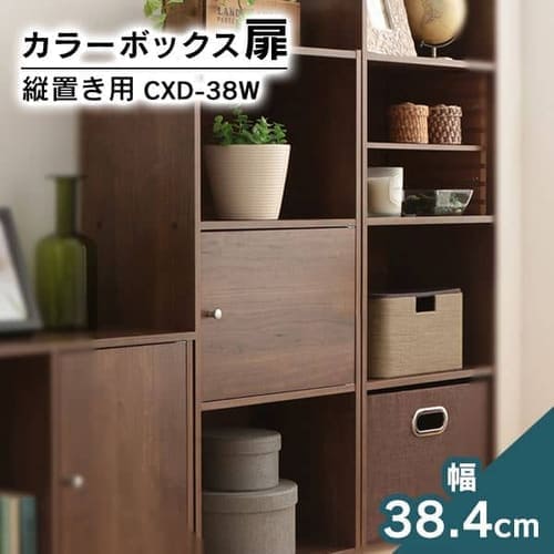 【縦置き用】カラーボックス用木製扉 CXD-38W 全6色