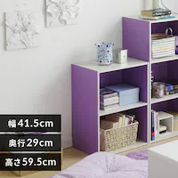 �J���[�{�b�N�X 2�i CX-2 �p�[�v���^�I�t�z���C�g