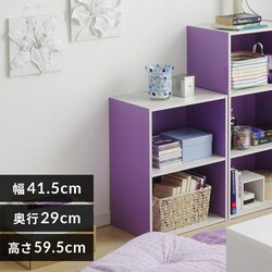 �J���[�{�b�N�X 2�i CX-2 �p�[�v���^�I�t�z���C�g