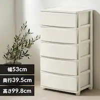 `FXg 5i gݗĊȒP [{bNX ^X Rl`FXg CLN-545 zCg