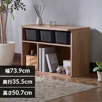 [I I Ci[{bNXt [^Cv RUS-74L GCWOI[N