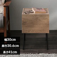 ACAEbhTChe[u IWST-300R ubN/AbVuE