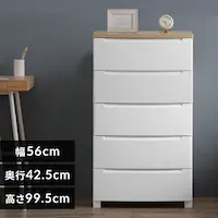 `FXg 5i ق肪ɂ [{bNX Hsv gݗĊȒP  KDMG[565WT zCg