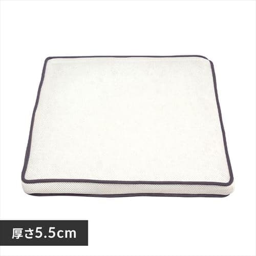 y5%OFFzNbV 5.5p GA[ CAR-4343