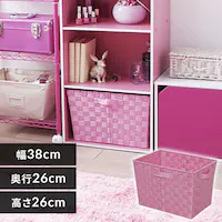 �y�[�^�z�J���[�o�X�P�b�g CBK-38D �s���N