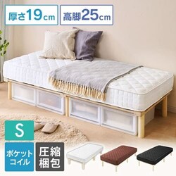 xbh VO rt}bgX |PbgRC 19cm AMT-P95 zCg