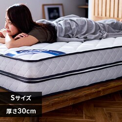 }bgX VO |PbgRC 30cm PMTD30N-S Sheep