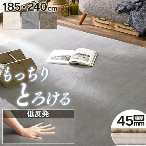 ラ・クッションラグ 低反発タイプ CRTE-1824 グレー _0