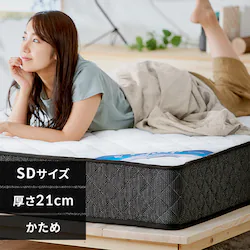 }bgX Z~_u |PbgRC d 21cm PMTS21H-SD Sheep