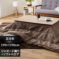 グランドカバー・ジャガード25（220～240未満）-