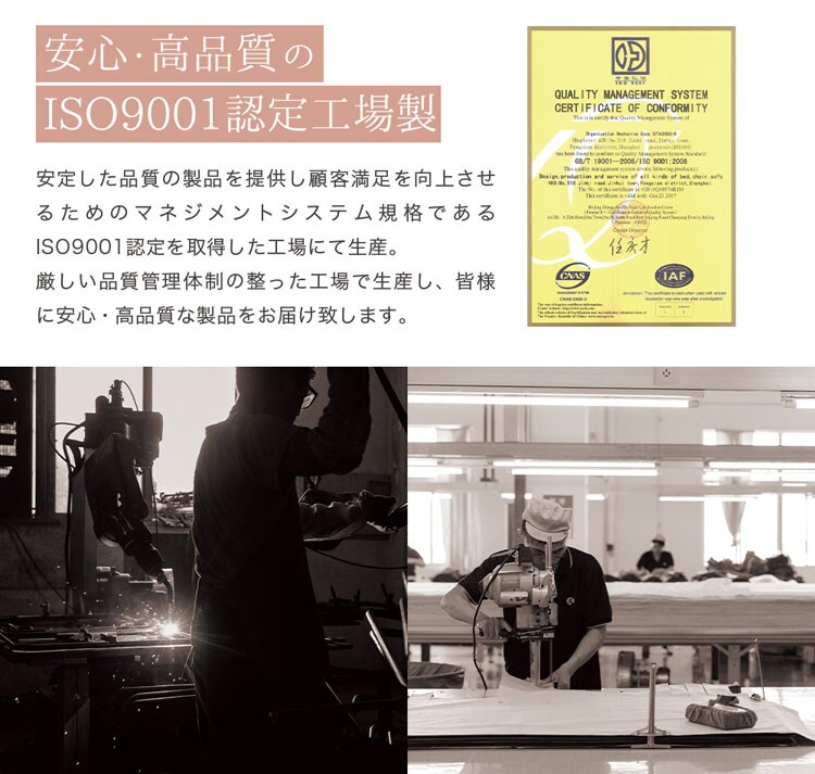 背筋が伸ばせるストレッチ座椅子／ホーミー【homie】 ハイタイプ CG-391-IP 全2色