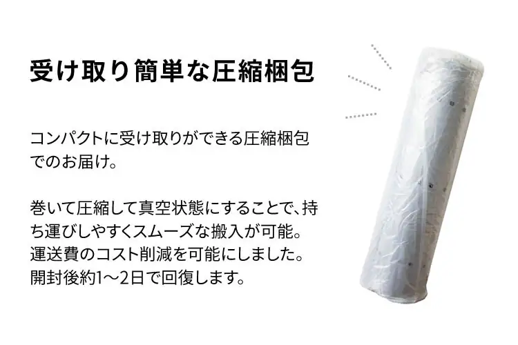 ソファカウチ枕付きベッドマットレスメッシュオールシーズン一人暮らしひとり暮らし来客用4WAYソファ