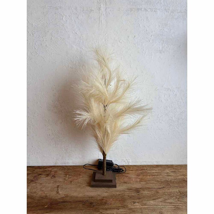 SOW ブランチツリー パンパス 60cm BRXT2530 【プラザセレクト】