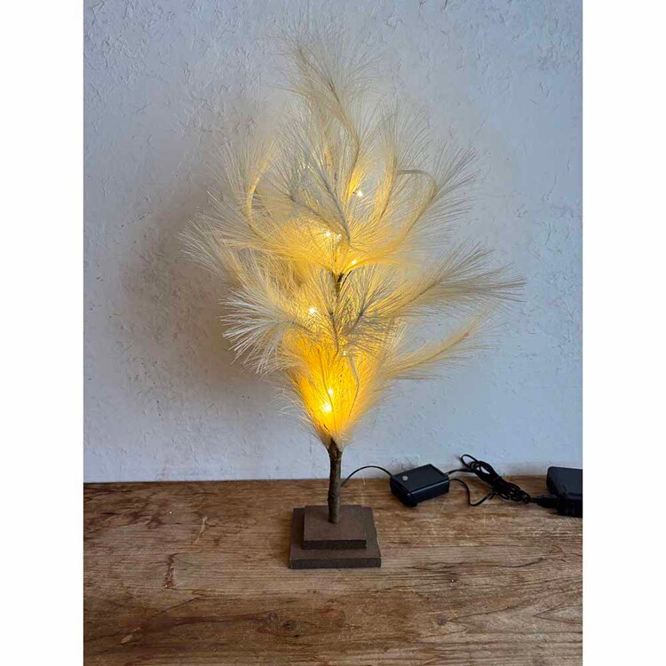 SOW ブランチツリー パンパス 60cm BRXT2530 【プラザセレクト】