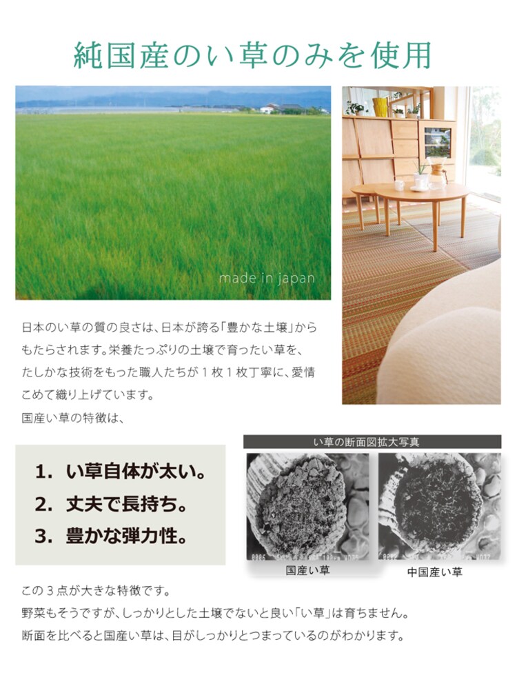 い草ラグ 国産 ラグ カーペット 『DXいろは』