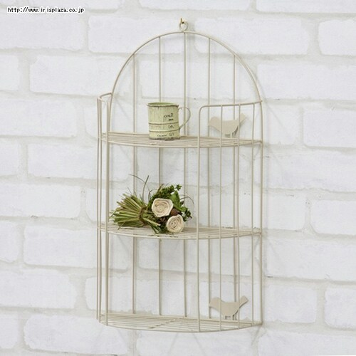 �o�[�h���b�N AKB-404 �A�C�{���[_1