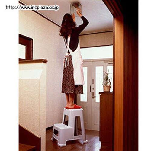 2iݑ@NF-560@CgO[_1