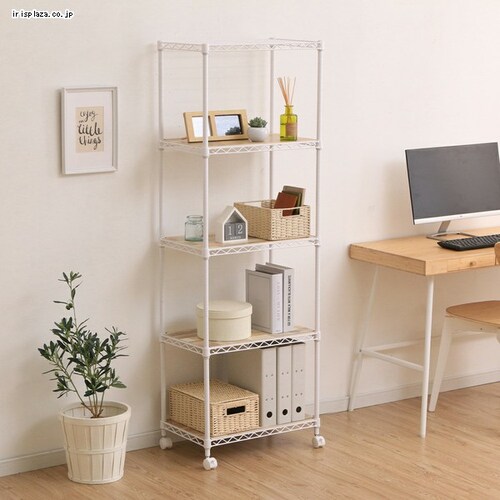 X`[bN 55cm 5i J[^bN Ebh{[ht CMM-55165B zCg_1