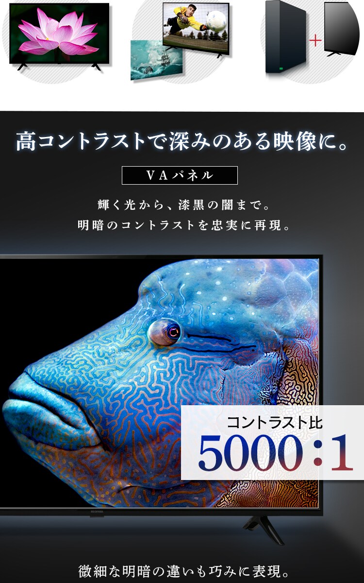 Fiona 液晶テレビ 4K 50V型 50UB10PC4
