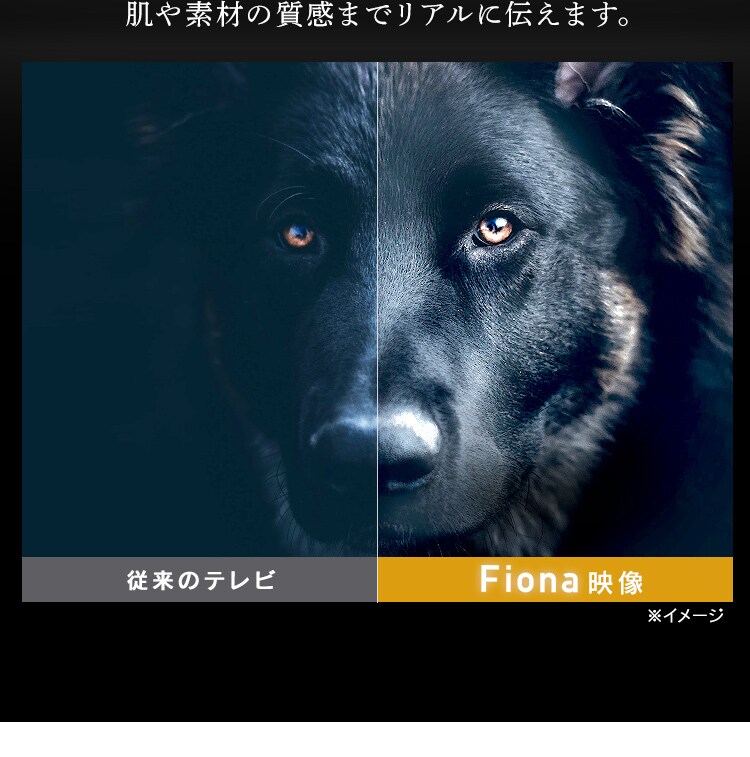 Fiona 液晶テレビ 4K 50V型 50UB10PC5