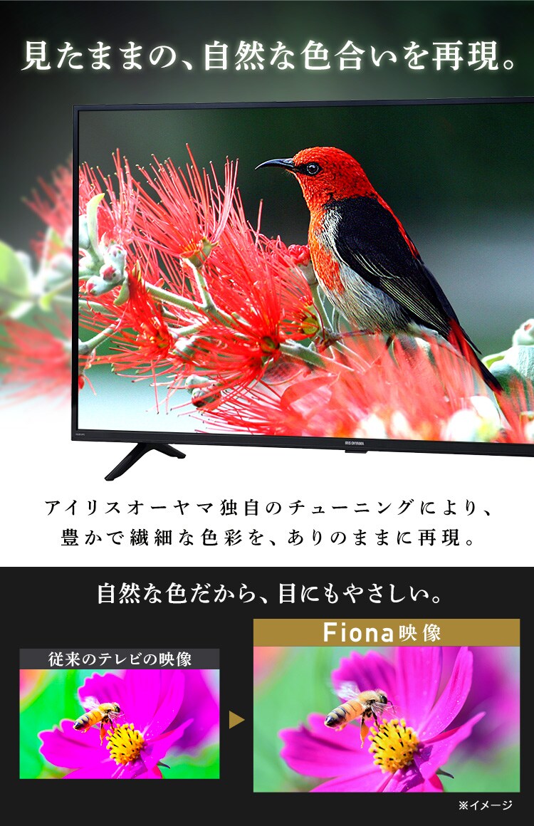 訳あり】テレビ 40V型 Fiona 40FB10PB H103077O │アイリスオーヤマ