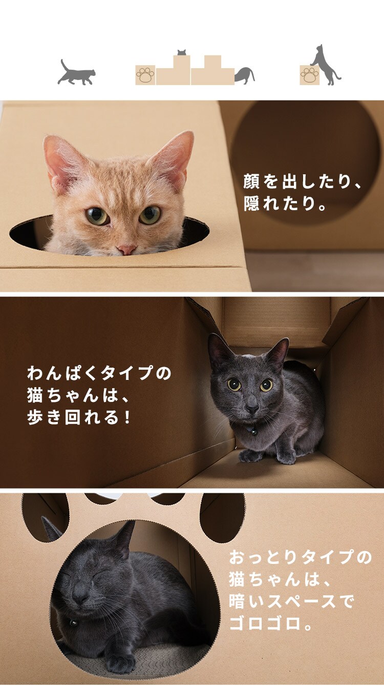 ねこねこトンネル フルセット P-NTF3