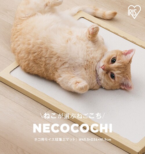 NECOCOCHI ねここち NECOCOCHI NCC-45 ナチュラル P104149 公式通販アイリスプラザ