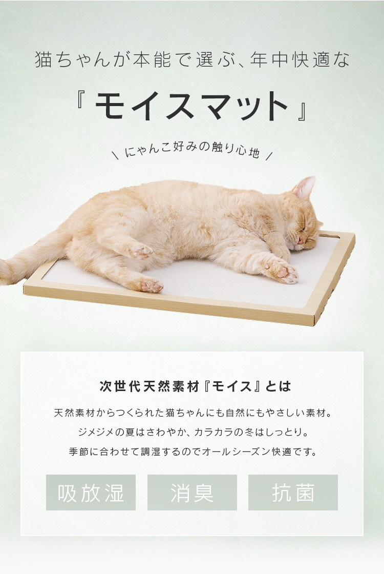 NECOCOCHI ねここち NECOCOCHI NCC-45 ナチュラル P104149│アイリス