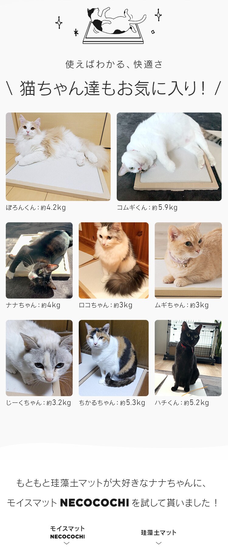 NECOCOCHI ねここち NECOCOCHI NCC-45 ナチュラル2