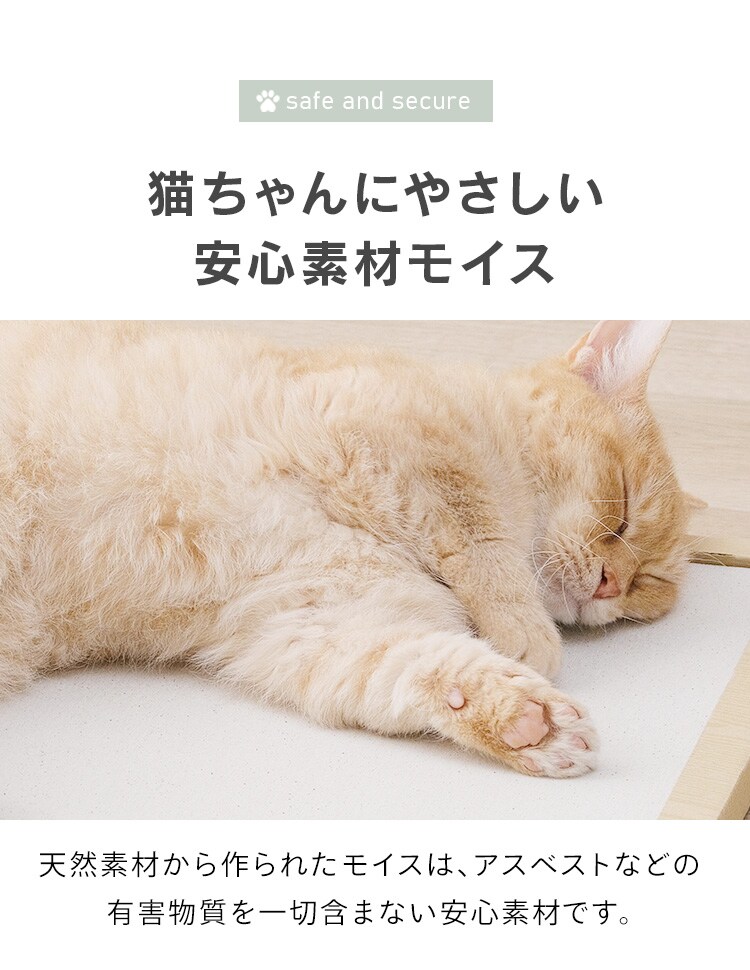 NECOCOCHI ねここち NECOCOCHI NCC-45 ナチュラル5