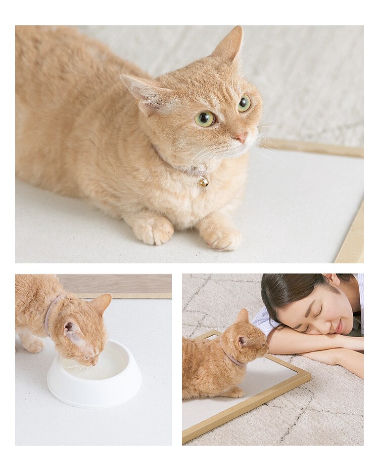 NECOCOCHI ねここち NECOCOCHI NCC-45 ナチュラル7