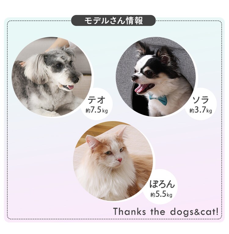 ペットマット Ｍサイズ3