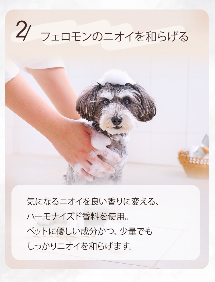【お風呂セット】ペットローブ トリートメントインシャンプー ボタニカルソープの香り 400ml 全3種類4