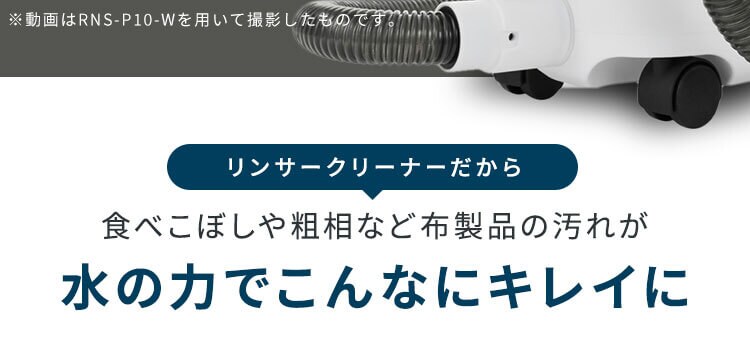 【大容量】リンサークリーナー スタンダードタイプ 家庭用 カーペット ソファ 車シート 洗浄機 強力水洗い シミ取り RNSP-P160013