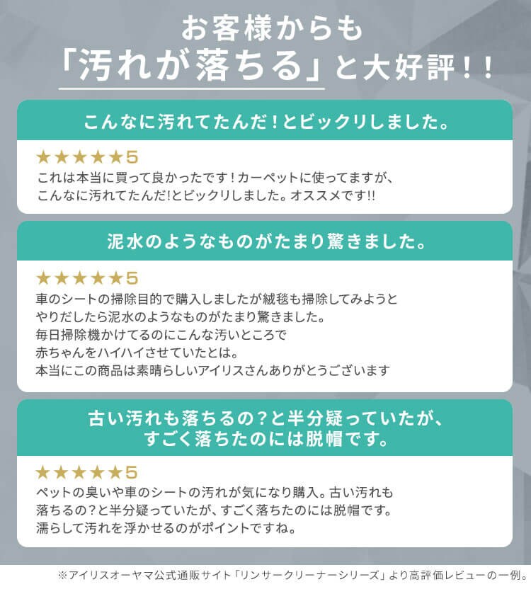 【専用洗剤付き】リンサークリーナー コンパクト 家庭用 カーペット ソファ 車シート 洗浄機 水洗い シミ取り RNSP-P5008